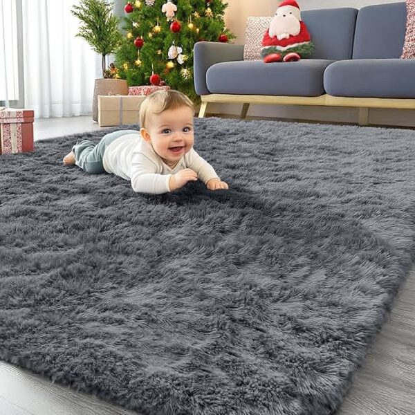 Area Rugs for Living Room Bedroom