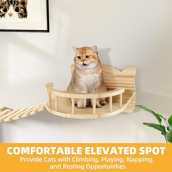 Cat Wall Shelves and Perches for Wall, Wooden Wall Mounted Cat Furniture - Image 2