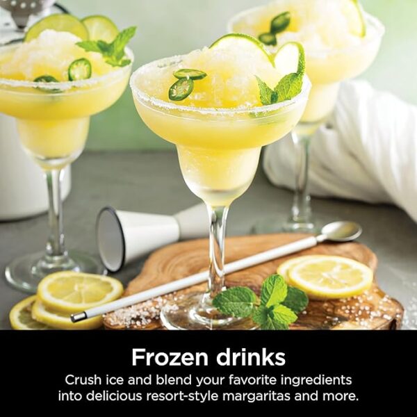 Crushing Technology for-Smoothies, Ice and Frozen Fruit - Image 5